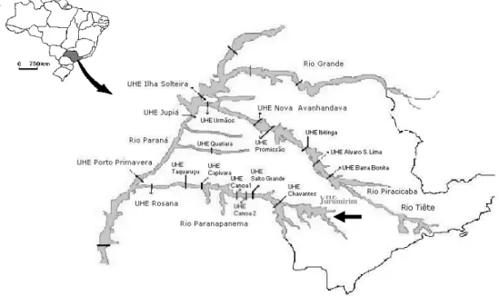 Figura 1 – Mapa do Brasil. Em destaque as bacias hidrográficas dos rios Paraná, Tietê  e Paranapanema