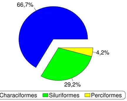 Figura  3  –  Proporção  (%)  por  ordem  taxonômica,  em  termos  numéricos,  das  24  espécies  de  peixes  capturadas  no  reservatório  de  Jurumirim,  no  período de janeiro a dezembro de 2005