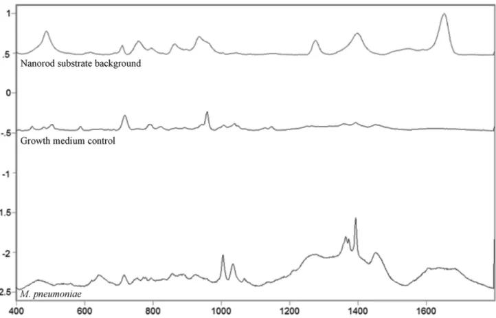 Fig 1. Averaged, baseline-corrected, and normalized SERS spectra for the nanorod substrate, growth medium control, and M