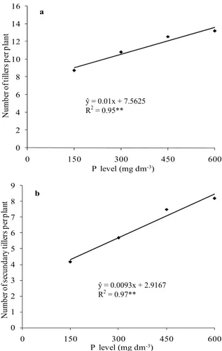 Figure 1. Total number of tillers (a) and number of secondary  tillers (b) of wheat plants affected by phosphorus levels, means of  cultivars IAC 370 and IAC 375