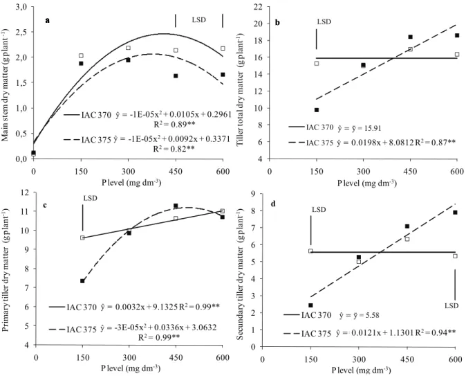 Figure 3. Main stem dry matter (a), tiller total dry matter (b), primary tiller dry matter (c) and secondary tiller dry matter (d) of wheat  plants (cultivars IAC 370 and IAC 375) affected by phosphorus levels