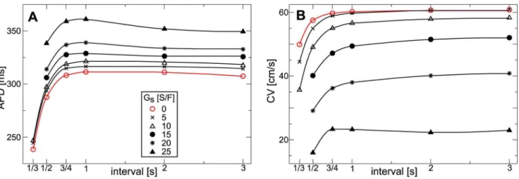 Figure 7. Effect of stretch-activated currents on the action potential in contracting medium