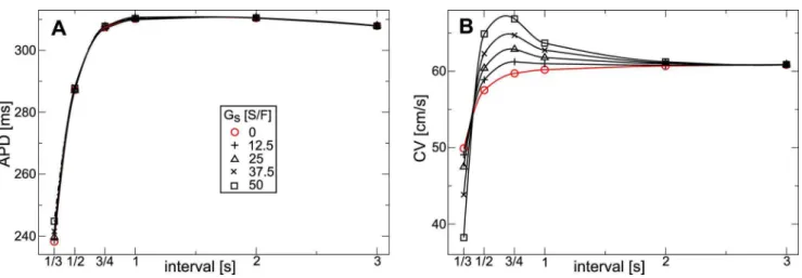 Figure 9. Effect of stretch conditions on stretch-activated currents and action potential shape
