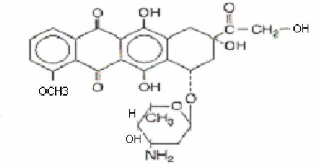 Figura 3 – Fórmula estrutural do quimioterápico Doxorrubicina. 