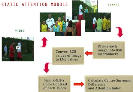 Figure 2.  Operation flow of static attention Module 