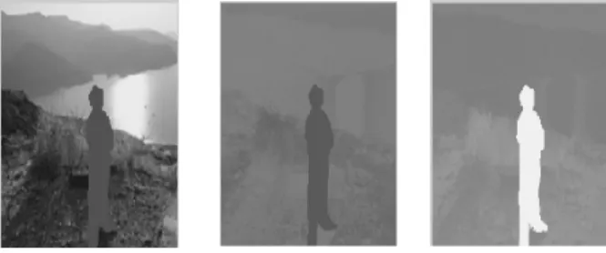 Figure 4. Image characteristic of masked lonavala image:    