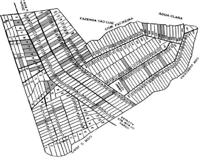 Figura 1: Croqui do Assentamento Mutum com indicação dos lotes (cor cinza) em que foi  realizada a pesquisa