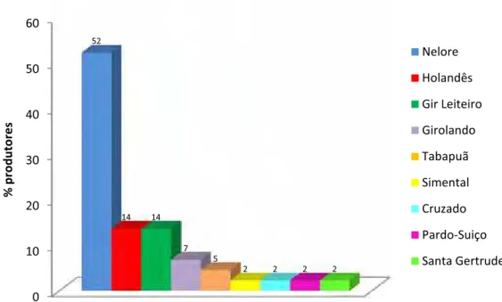 Figura 11: Distribuição percentual de produtores de acordo com o tipo de raça  dos            reprodutores bovinos que utilizam, dentre os produtores pesquisados do  Assentamento Mutum, em Ribas do Rio Pardo, MS