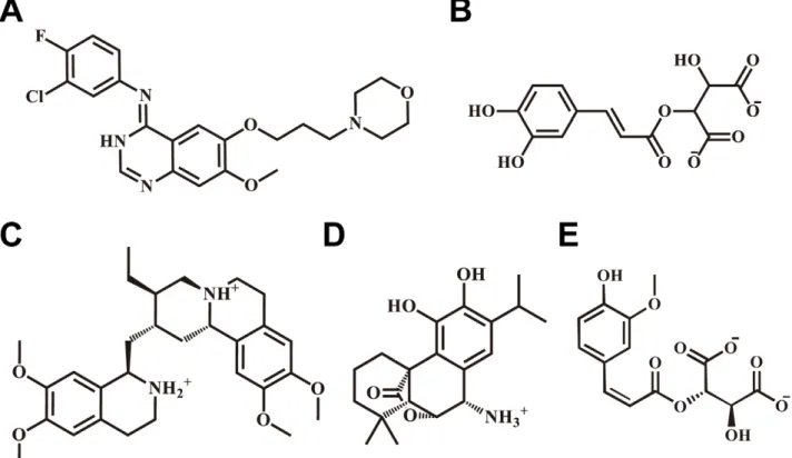 Figure 1. Scaffolds of the control and TCM compounds. (A) Iressa, (B) 2-O-Caffeoyl tartaric acid, (C) Emetine, (D) Rosmaricine, and (E) 2-O- 2-O-Feruloyl tartaric acid.