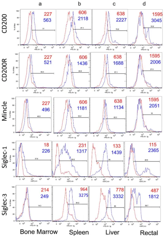 Fig 3. Representative flow cytometric profile of CD200, CD200R, Mincle, Siglec-1 and Siglec-3 expression on the gated population of CD14 + cells isolated from the bone marrow (panel a), spleen (panel b), liver (panel c) and mononuclear cells isolated from 