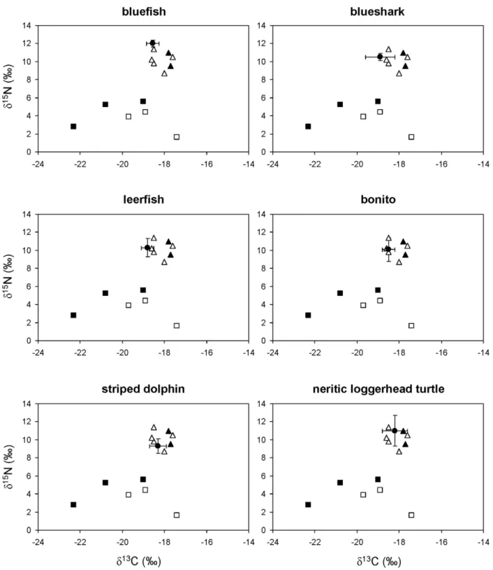 Figure 2. Stable isotope ratios of bluefish, blueshark, leerfish, bonito, striped dolphins and neritic loggerhead sea turtles from the northwestern Mediterranean