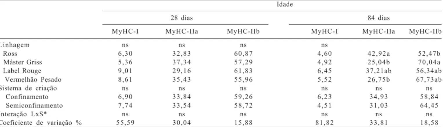 Tabela 3 - Tipos de isoformas de miosinas de cadeia pesada (MyHC) (%) do músculo flexor longo do hálux de frangos de corte aos 28 e 84 dias de idade criados em sistema de confinamento ou semiconfinamento