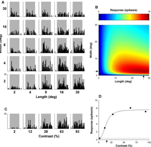 Figure 2. Responses of an example DM neuron, illustrated with the same conventions used in Figure 2