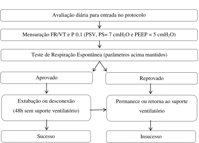 Figura  1-  Protocolo  do  estudo.    FR/VC  =  frequência  respiratória/  volume  corrente;  P  0,1= 