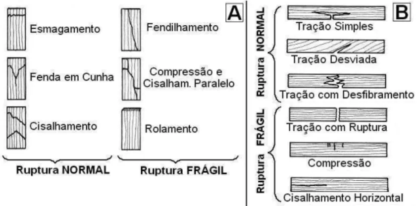 Figura 1 -  Formas de ruptura em compressão paralela às ibras (A) e tipos de superfícies de ruptura  em lexão estática (B) pela norma técnica ASTM D-143 (2007).