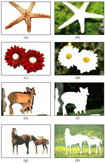 Fig. 5. Each cluster from Img01.jpg : (a) Cluster 1, (b) Cluster 2. Each cluster from Img02.jpg : (c) Cluster 1, (d) Cluster 2