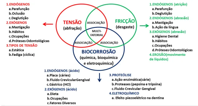 Figura 1. Diagrama de Venn, representando os fatores envolvidos na formação  de lesões cervicais não cariosas 