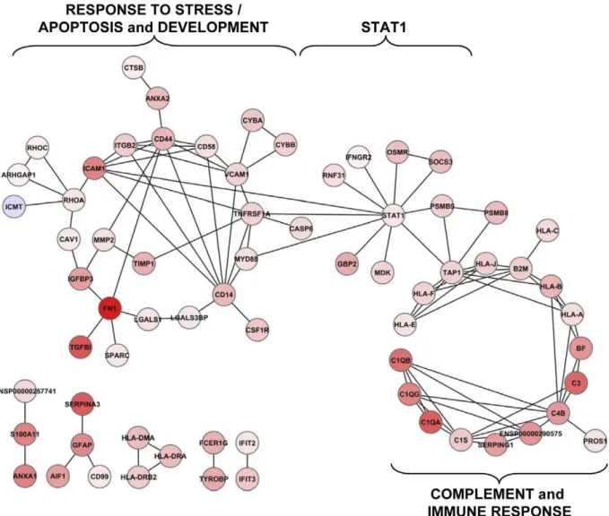 Figure 3. Interactomic analysis of the genes identified by FDR. The interaction between genes identified using the FDR methods