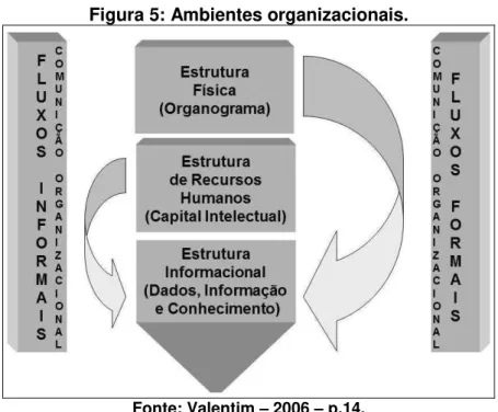 Figura 5: Ambientes organizacionais. 