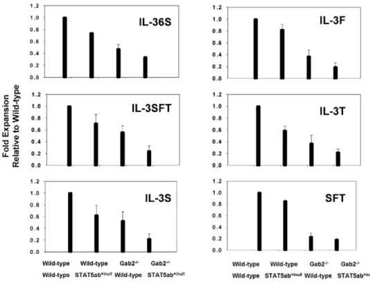 Figure 1. Combined deficiency of Gab2 with heterozygous STAT5 reduces KLS cell responses to early acting cytokines