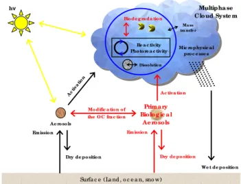Fig. 1. Schematic representation of the effects of PBA (in red) on atmospheric chemistry.