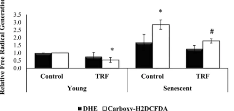 Fig 9. Effects of replicative senescence and TRF treatment on intracellular ROS generation