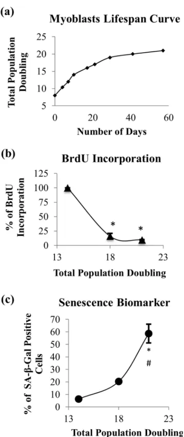 Fig 1. Effects of serial passaging on population doubling, cell proliferation and expression of SA-β- SA-β-gal in myoblasts
