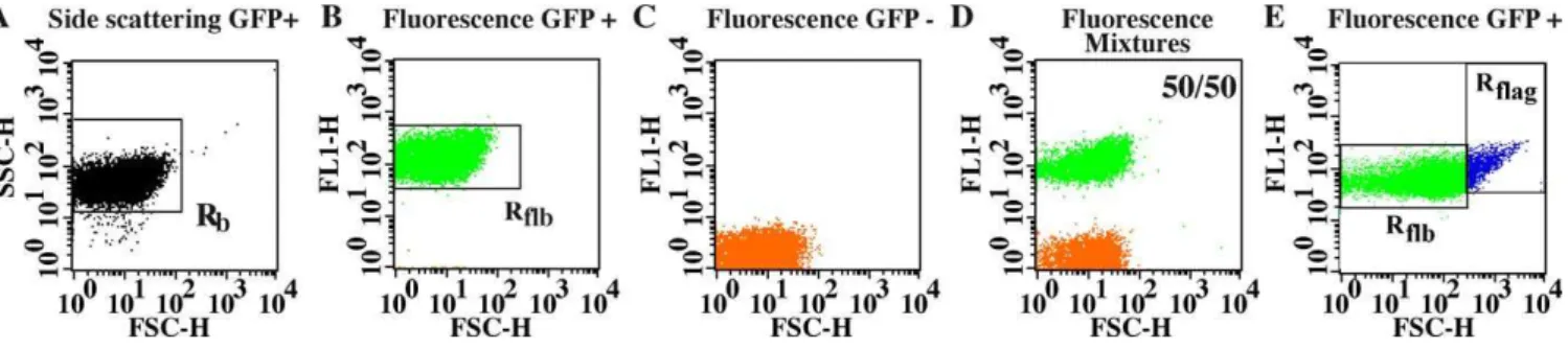 Figure 2. Bacterial FCM