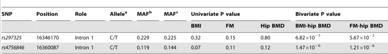 Table 3. Replication signals for the SOX6 gene SNPs in the male subjects of the FHS cohort.