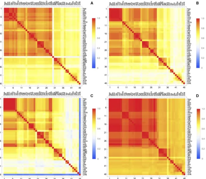 Figura 2. Heat Map da sequência completa (A), domínio DM (B), região INT (C) e  domínio TIR (D)