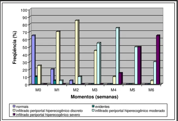 Figura 8: Distribuição das freqüências de infiltrado periportal hiperecogênico, e  sua intensidade, observadas nos diferentes momentos