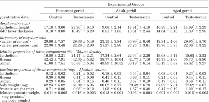 TABLE 1. Quantitative exploratory analysis from experimental animals at different ages