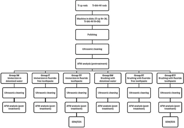 Fig. 1 – Flow chart of the study.
