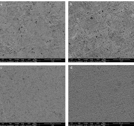 Fig. 4 – Scanning electron microscope images (1500T) of samples exposed to fluoride ions; cp Ti – Group IFT (a), Group BFT (b); Ti–6Al–4V – Group IFT (c) and Group BFT (d).