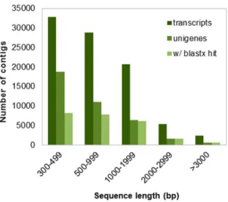 Table 1. Summary of assembled transcripts and unigenes of P. maximum leaves.