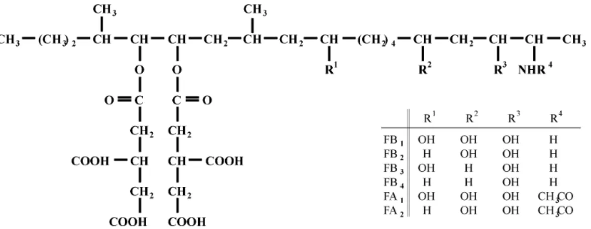Fig. 4. The structural formulas of fumonisins A and B series.