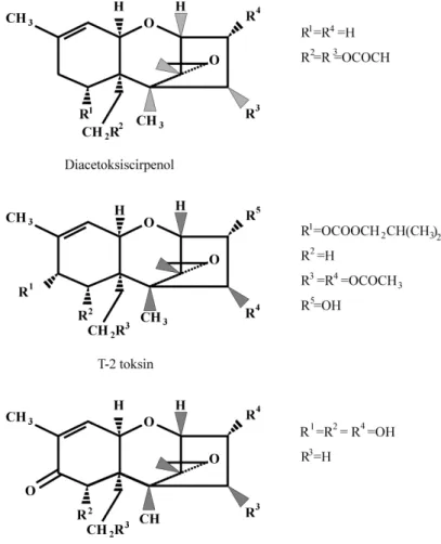 Fig. 5. The structural formulas of some trichothecenes.