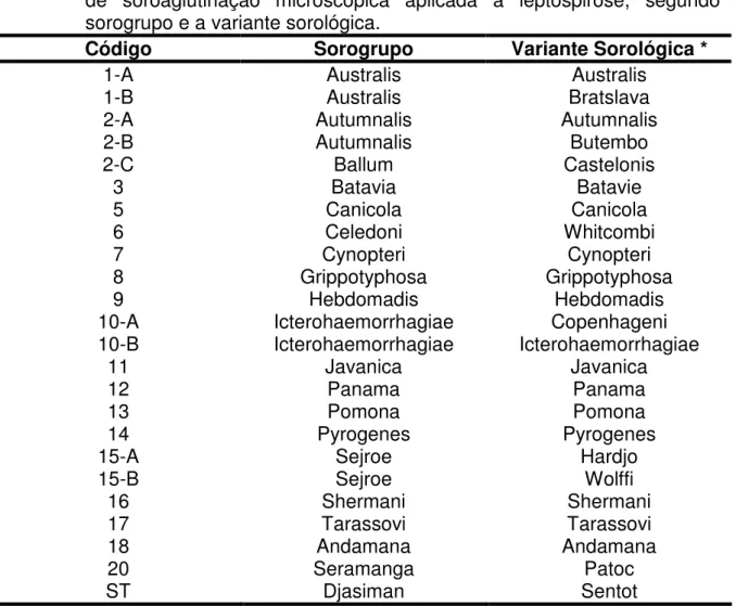 Tabela 1.   Estirpes de Leptospira interrogans, empregadas como antígeno na reação  de  soroaglutinação  microscópica  aplicada  a  leptospirose,  segundo  o  sorogrupo e a variante sorológica