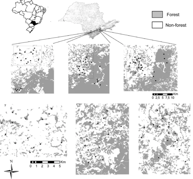 Figure 2. Distribution of Atlantic forest remnants and sampling sites in the fragmented and continuously-forested landscapes.