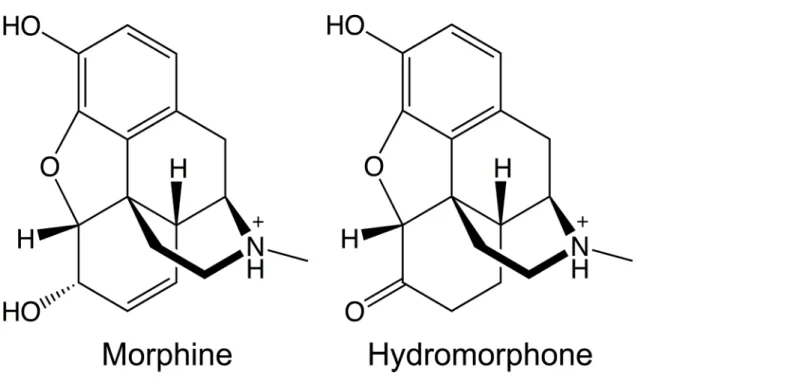Fig 1. Molecular structures of morphine and hydromorphone.