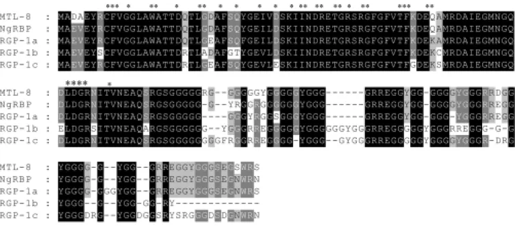 Figure 2 presents a comparison of the amino acid sequences of the MTL-8  RT-PCR fragment, the RBP from N