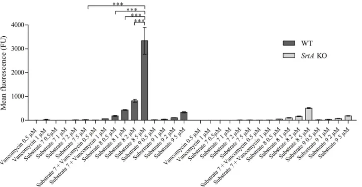 Fig 5. Incorporation of vancomycin—conjugated substrate. 8325–4 WT and srtA KO bacteria were incubated in the presence of either 0.5 μM or 1 μM of 1) vancomycin; 2) substrate 7 + vancomycin; or 0.5 μM; 1 μM; 2 μM or 5 μM of 3) substrate 7; 4) substrate 8 o