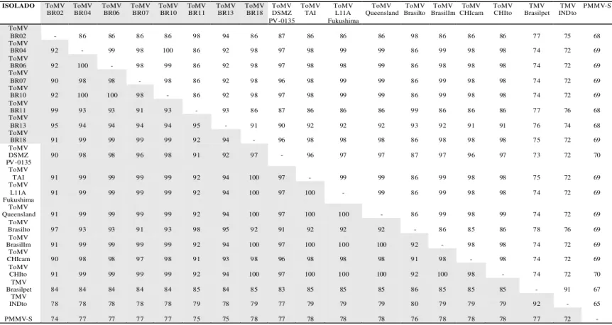 Tabela 3. Porcentagem de identidade de seqüências de parte da porção codificadora para a proteína capsidial: nucleotídeos  (em branco) e  aminoácidos (em cinza) entre isolados ToMV-BR02 (AM411425), ToMV-BR04 (AM411426), ToMV-BR06 (AM411427), ToMV-BR07  (AM