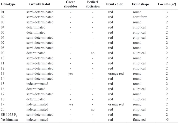 Table 1. Characterization of F 5  lines for the main morphological descriptor according to the Ministry of Agriculture, Livestock and Supply  (MAPA) [caracterização dos genótipos para as principais características morfológicas segundo o descritor do Minist