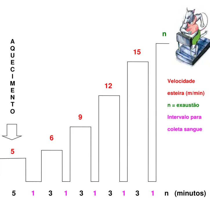 Figura 4  – Representação esquemática do teste incremental até exaustão (adaptado  CARVALHO et al., 2005) 