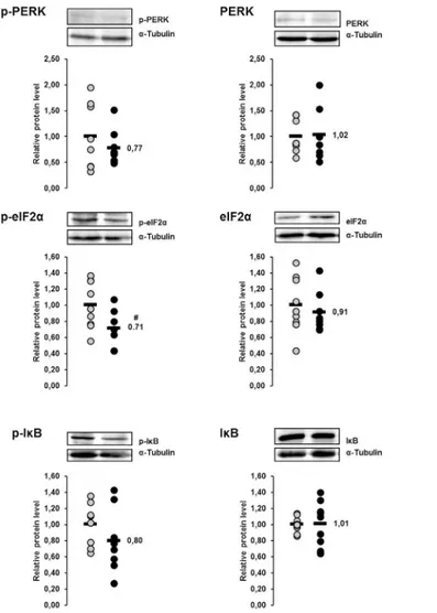 Fig 10. Effect of fish oil on phosphorylation of PERK and PERK-mediated phosphorylation of eIF2α and IκB in the liver of lactating sows