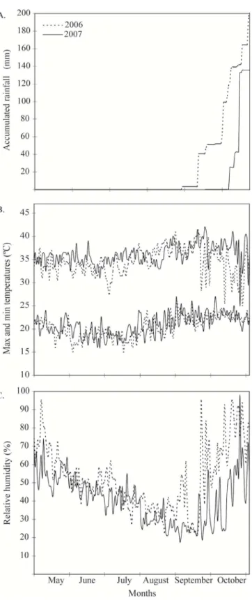 Figure 1. Accumulated rainfall (A), maximum  and minimum temperatures (B) and mean relative  humidity (C) during the experiments in 2006 and  2007 at the Experimental Station of EMATER,  Po-rangatu, GO