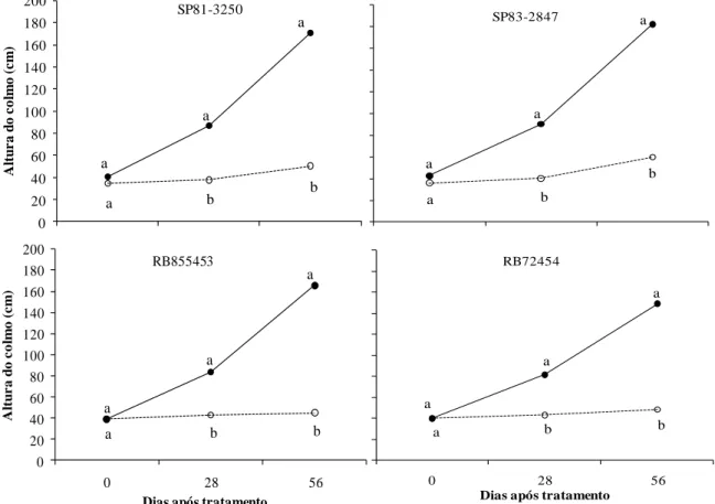 Figura 1. Altura do colmo de quatro cultivares de cana-de-açúcar submetidas a regime hídrico  adequado  (- D,  ──)  e  à  deficiência  hídrica  (+D,  ----),  aos  0,  28,  56  dias  após  o  estabelecimento dos tratamentos