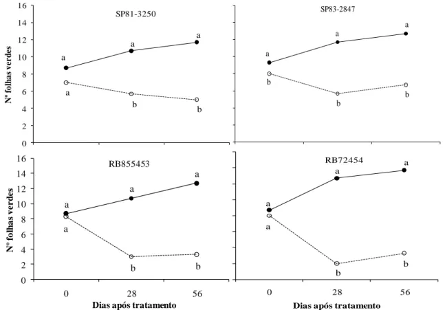 Figura  2.  Número  de  folhas  verdes  de  quatro  cultivares  de  cana-de-açúcar  submetidas  a  regime hídrico adequado (- D, ──) e à deficiência hídrica (+D, ----), aos 0, 28, 56 dias após  o estabelecimento dos tratamentos