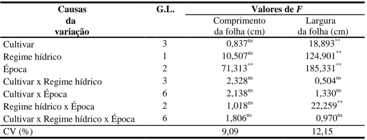 Tabela 2.  Análise de variância do comprimento e largura da folha +3 de  cana-de-açúcar  sob  efeito   de cultivares,   regimes hídricos e épocas de avaliação